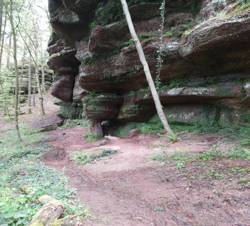 Circuit à Notre Dame de Bonne Fontaine par Rocher de la Bande Noire - Danne-et-Quatre-Vents