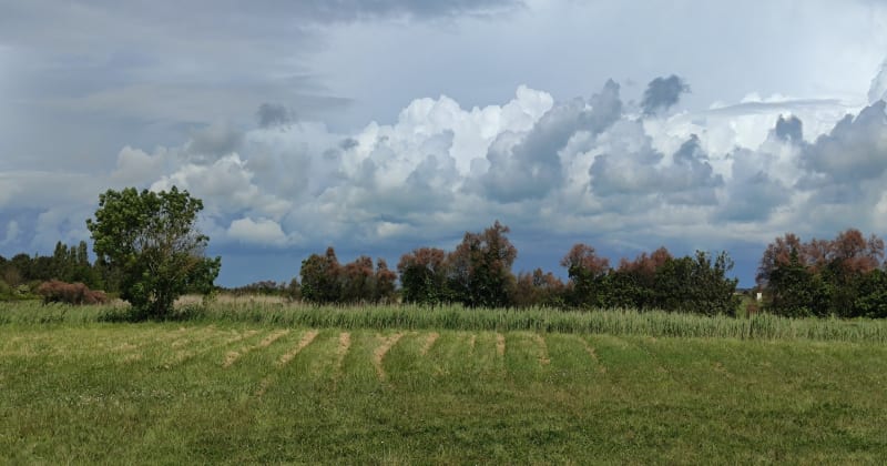 Arceau d'Oléron, par les Allards et Bois d'Anga - Saint-Pierre-d'Oléron