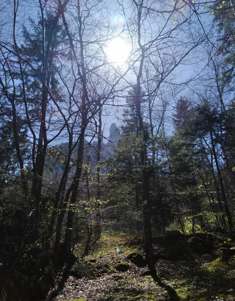 Du désert Jean-Jacques Rousseau à Saint Nizier en boucle - Seyssinet-Pariset