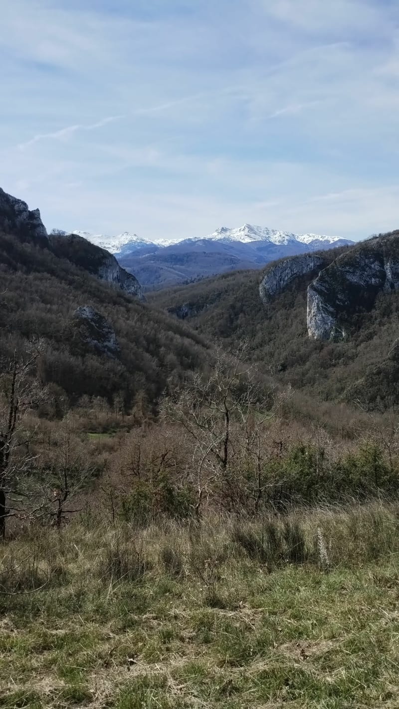 Sentier d'Hillat et Raissac - Roquefort-les-Cascades
