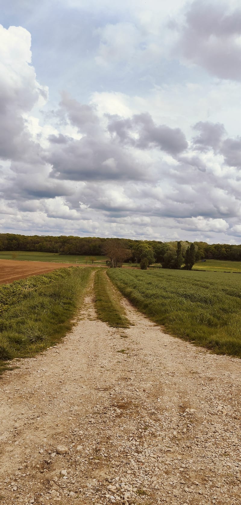 Balade autour des champs de Nanteuil-lès-Meaux - Nanteuil-lès-Meaux