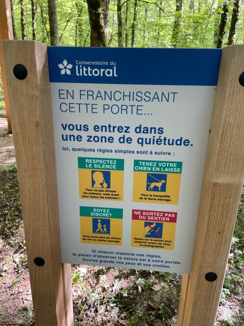 Sentier "Le colosse aux pieds d’argile" - Piney