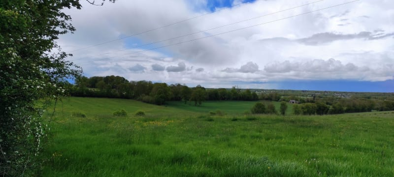 Boucle autour de Valognes - Valognes
