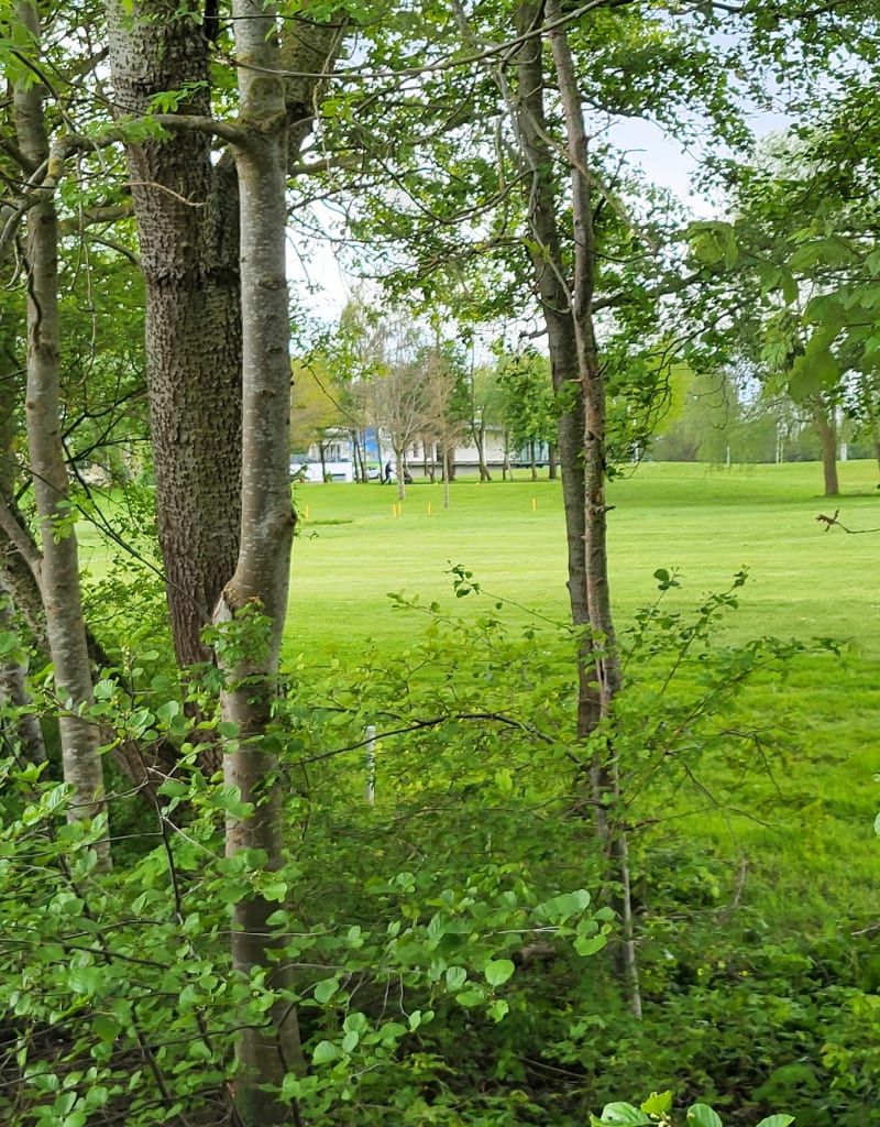 Le long de la Scarpe et du golf de Sin-le-Noble - Sin-le-Noble