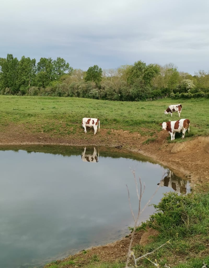 Balade dans les mortes du Doubs - Fretterans