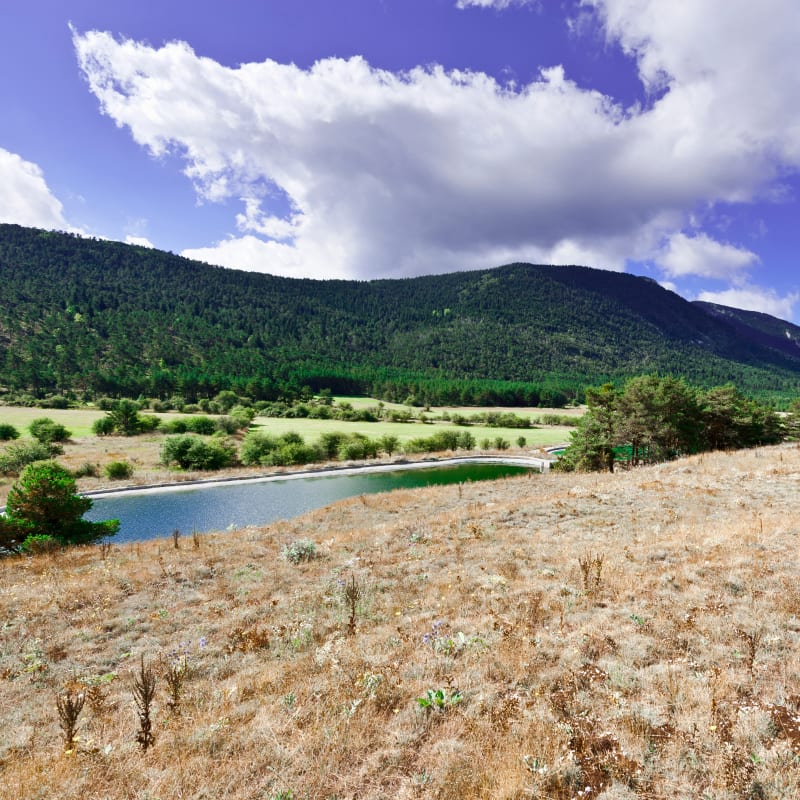 Boucle du Lac des Sagnes - Thorame-Haute
