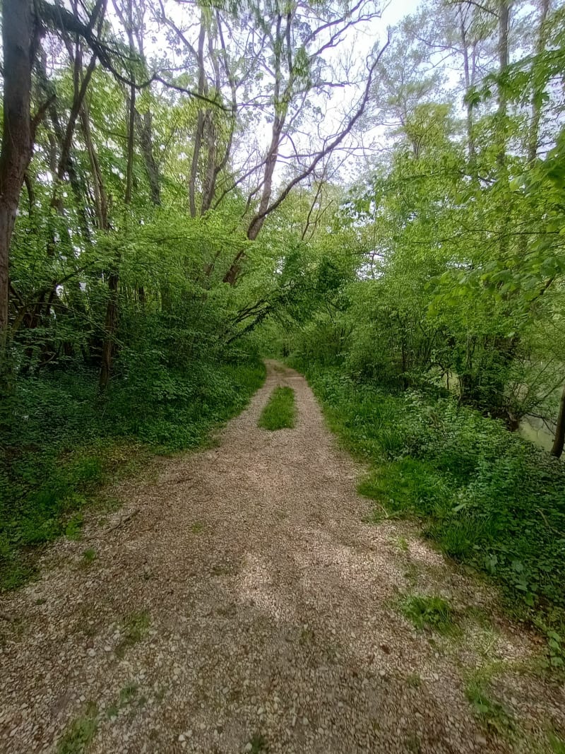 Balade sentier nature le long de l'Aisne, par Coucy - Rethel