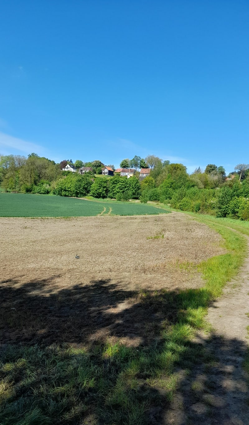 Du Mont des Récollets au Mont Cassel - Cassel