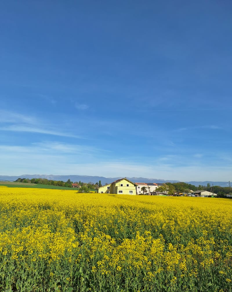 Entre Veyrier et Collonges sous Salève - Etrembières