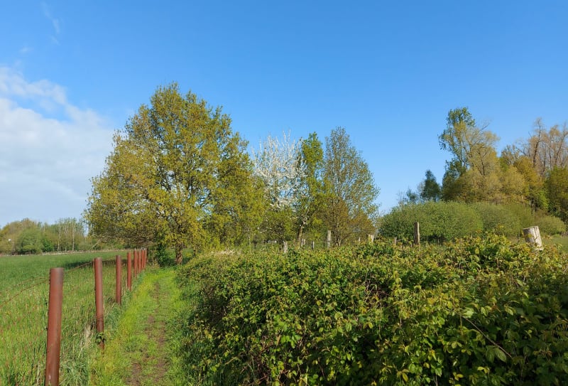 Découverte de Cobrieux et ses alentours - Cobrieux