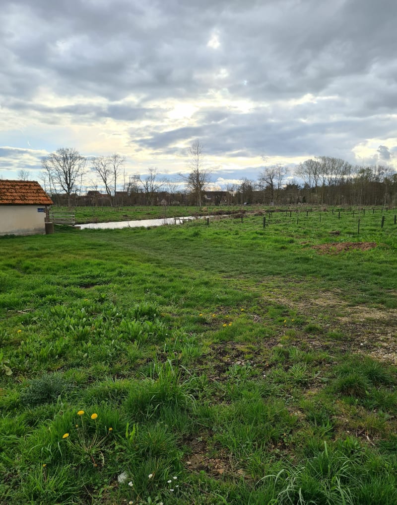 Balade de Goindreville à Mont-les-Tertres - Thivars