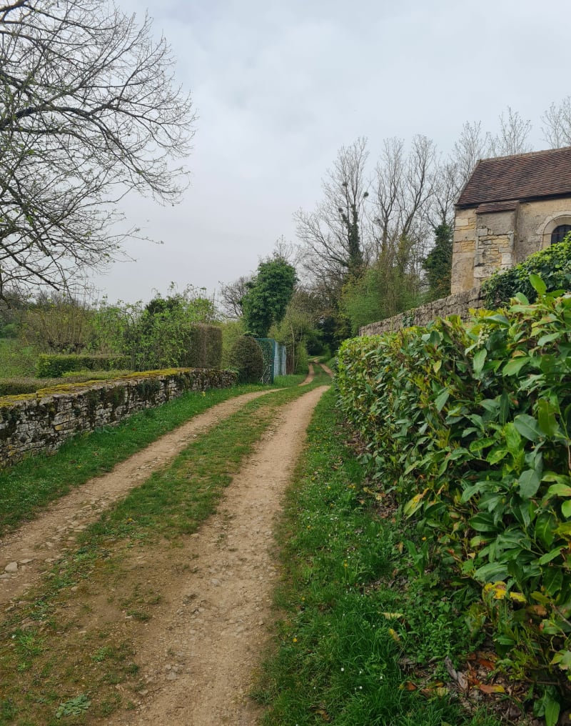 Randonnée au départ de Mellecey - Mellecey