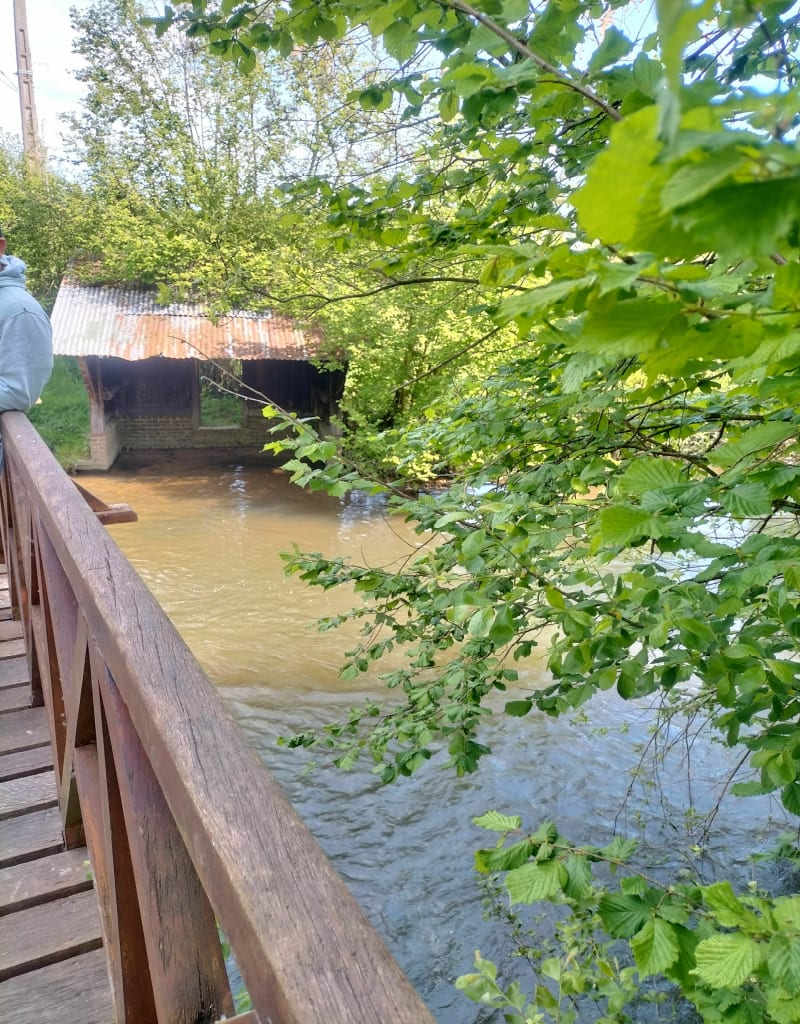 La Goulafrière charentonne - La Goulafrière
