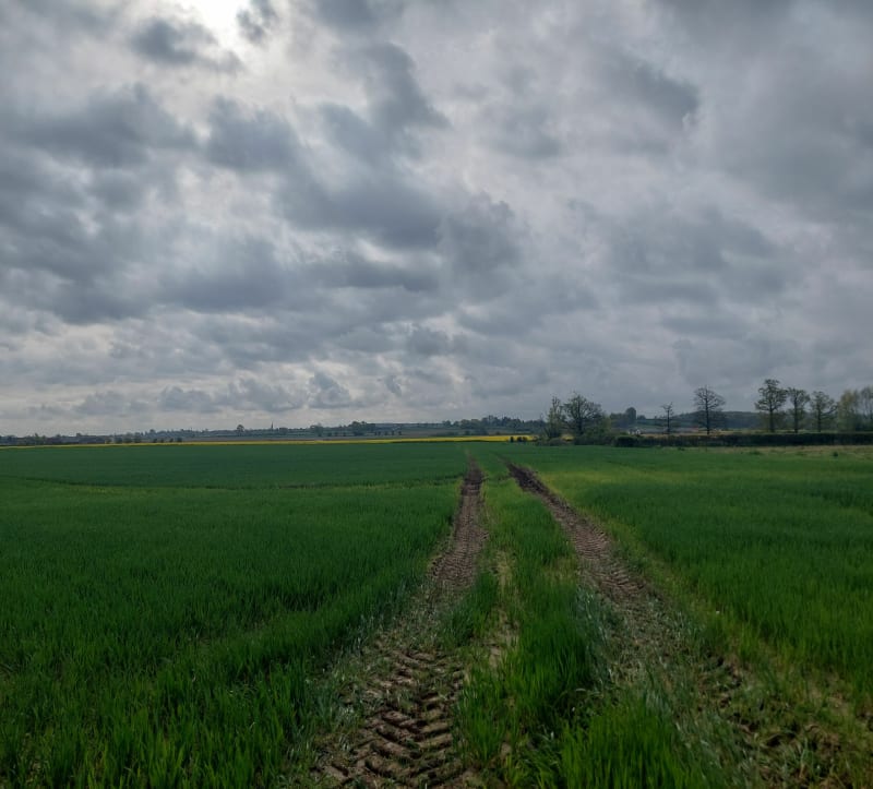 Campagne autour de Staple par Heydt - Staple