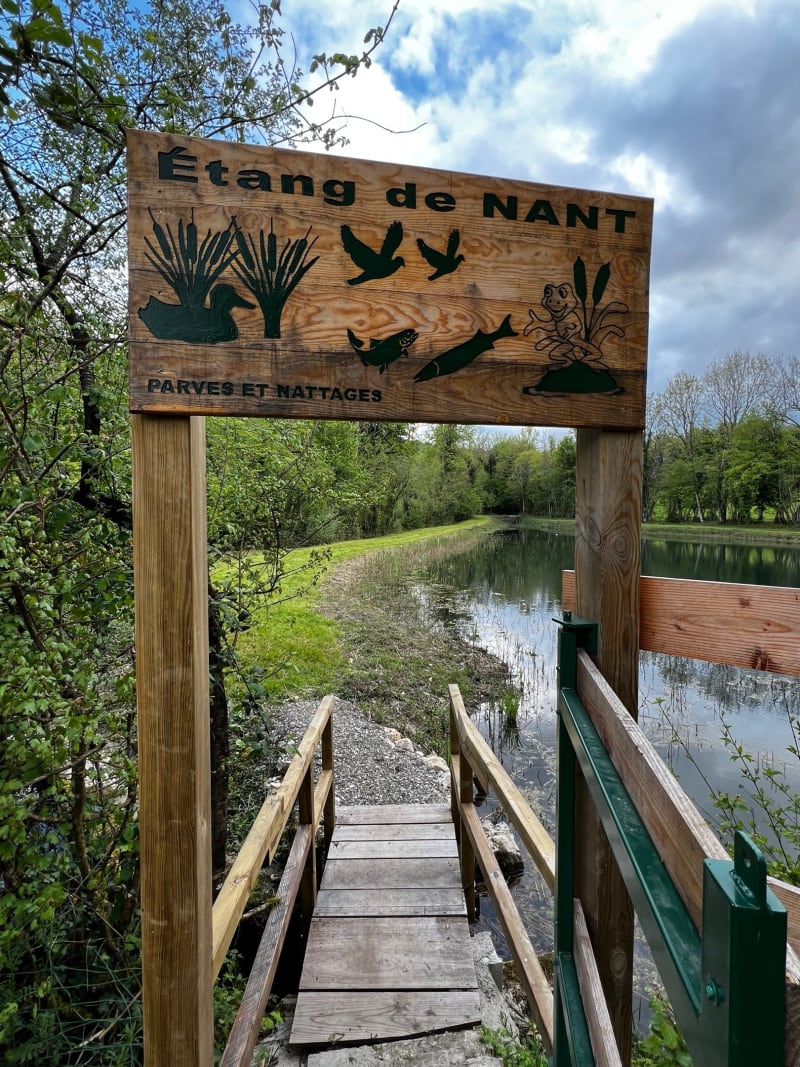 Randonnée à l’étang de Nant - Parves-et-Nattages