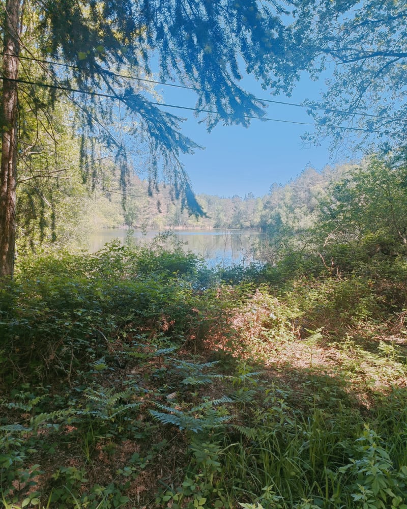 Balade dans les bois de La Breille-les-Pins, par la Noue - La Breille-les-Pins
