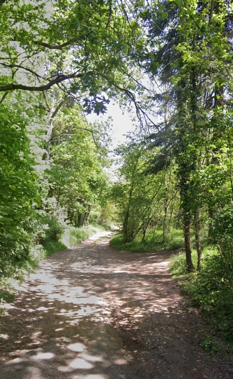 Road and trail à Saint-Didier, par les Bruyères - Saint-Didier-de-Formans
