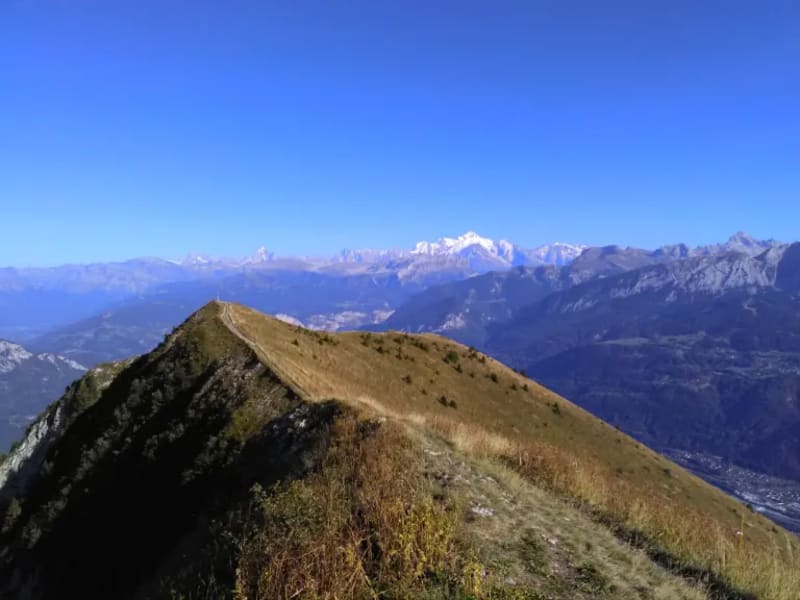 Tête de l’écutieux puis Le Môle et le petit Môle - Saint-Jean-de-Tholome