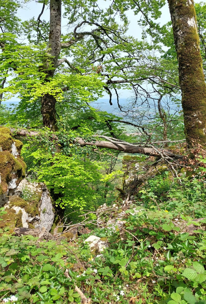 Deux crêtes autour de Châtillon le Duc - Châtillon-le-Duc