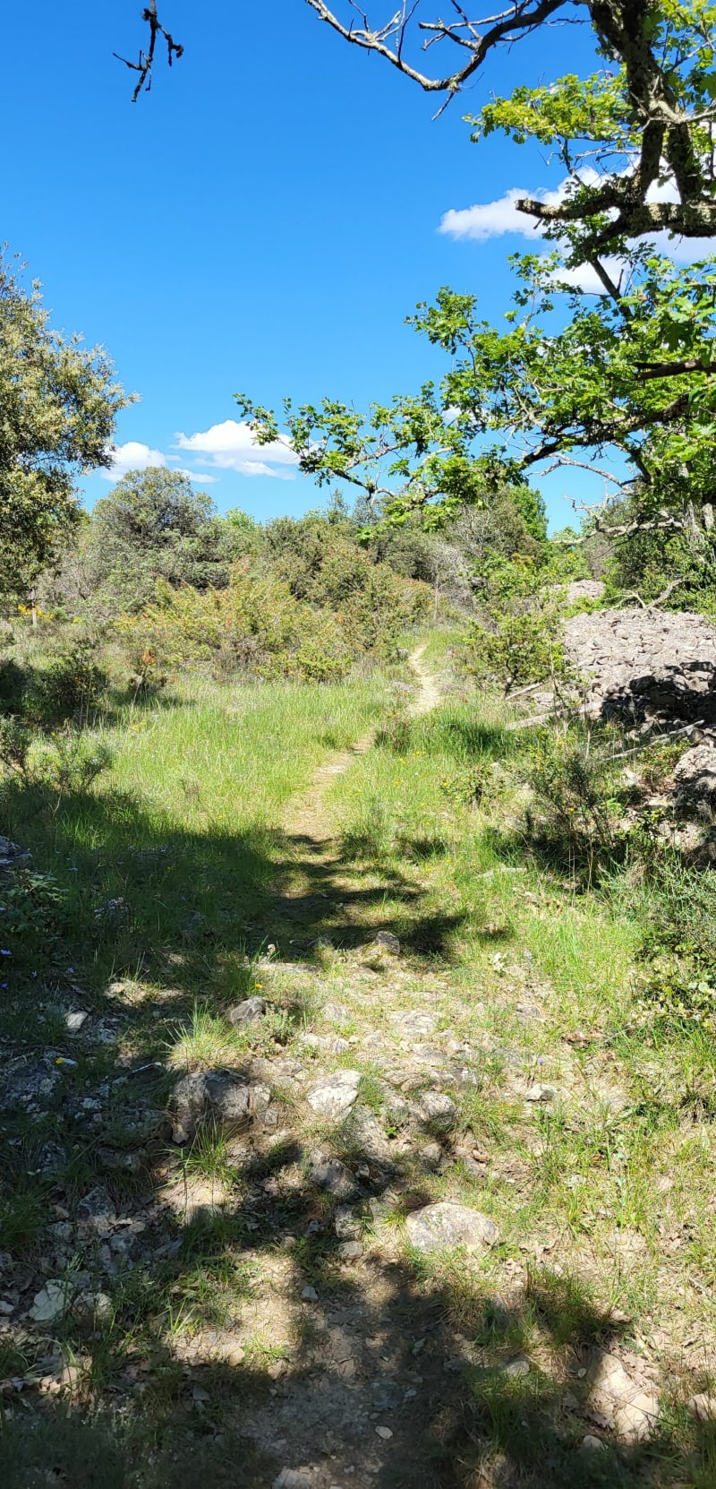 Boucle du camping à Saint Maurice d'Ibie - Saint-Maurice-d'Ibie