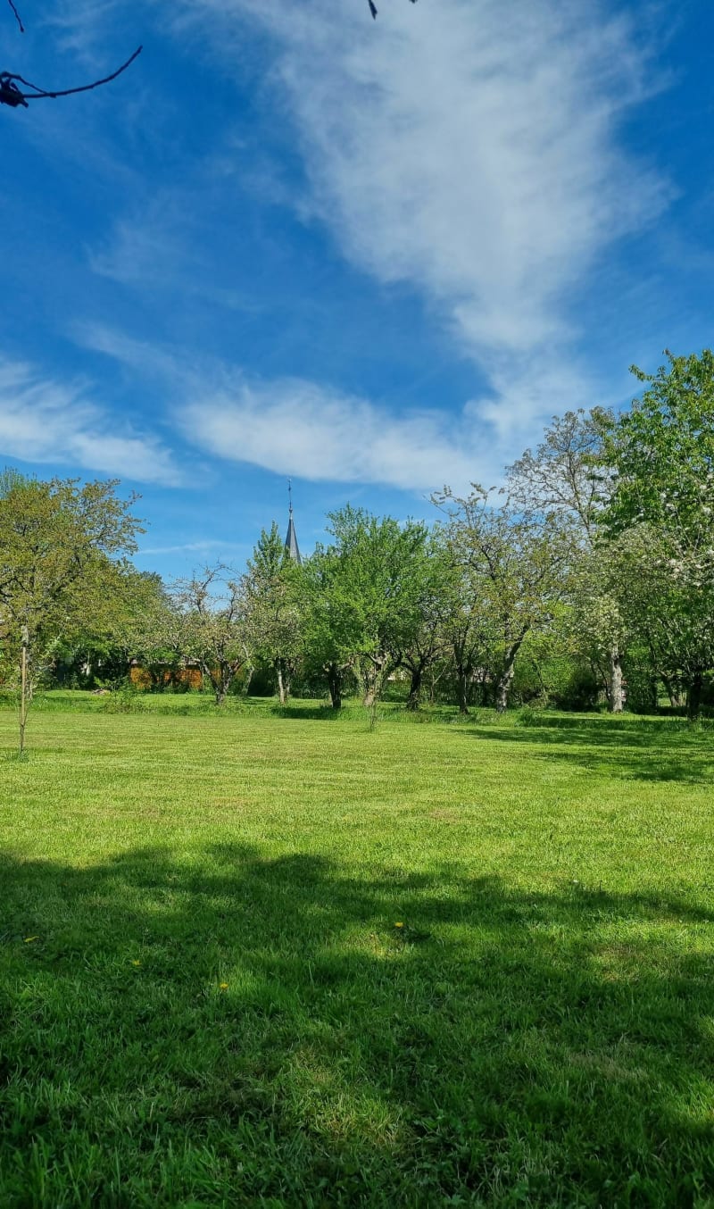 Balade à Dampierre-en-Bresse, par le Saumon - Dampierre-en-Bresse