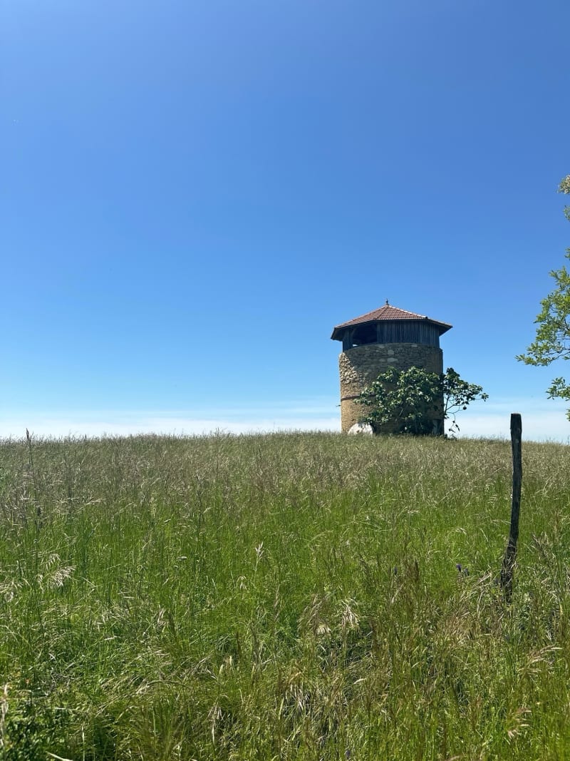 Petite promenade dans les bois à Saint-Arailles - Saint-Arailles