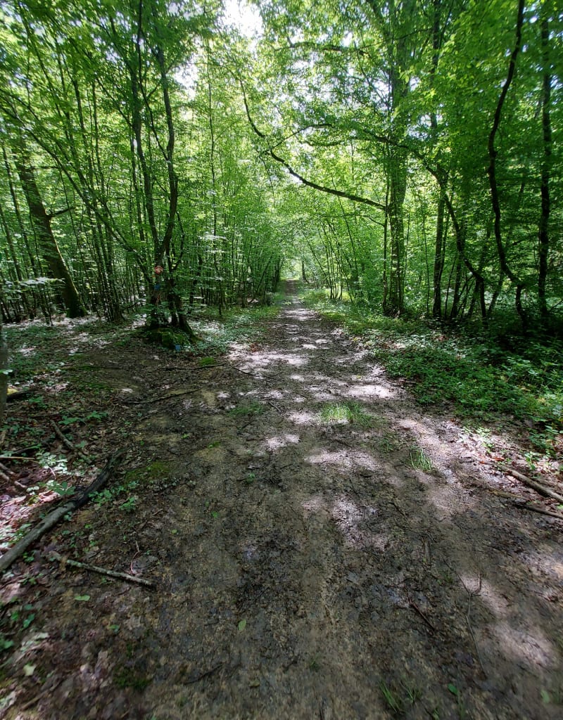 Balade autour de l'Abergement-Sainte-Colombe - L'Abergement-Sainte-Colombe