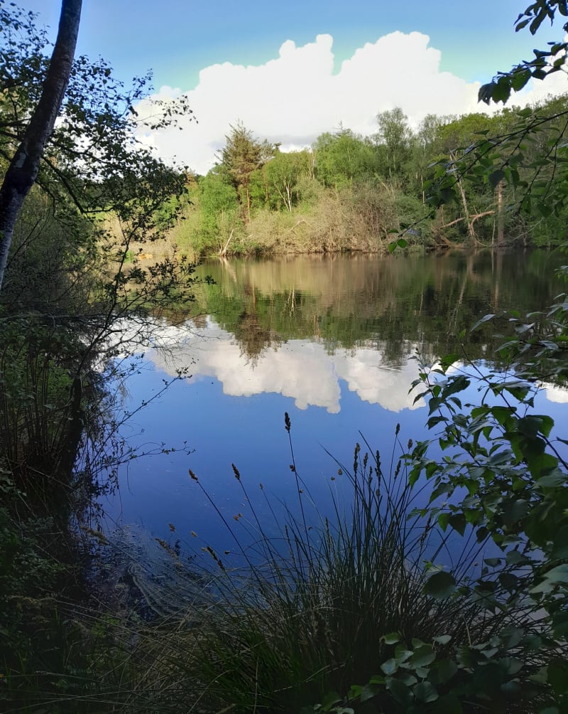 Balade vallonnée autour de Plourin - Plourin-lès-Morlaix