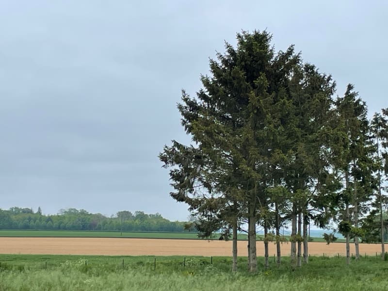 Petite boucle autour de Revelles - Revelles