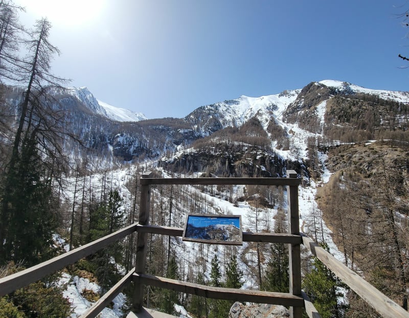 De Champ-Lacas au belvédère. - Les Orres