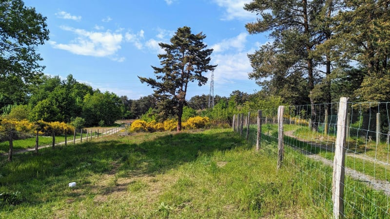 Découverte des dunes des Girauds-Faures depuis Orléat - Orléat