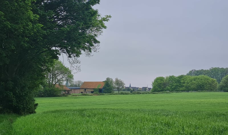 Fréville vers le Val au Sène - Saint-Martin-de-l'If