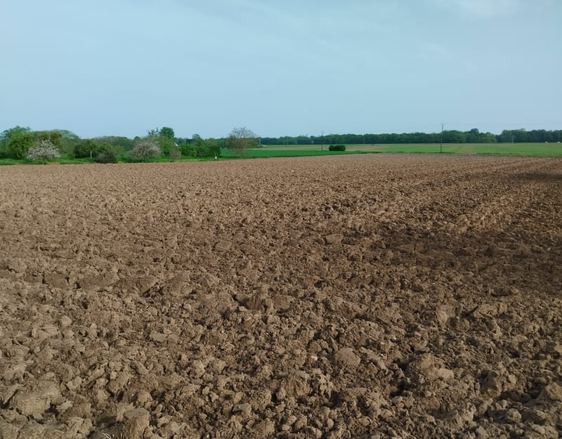 Courpalay et sa randonnée des 3 lavoirs - Courpalay