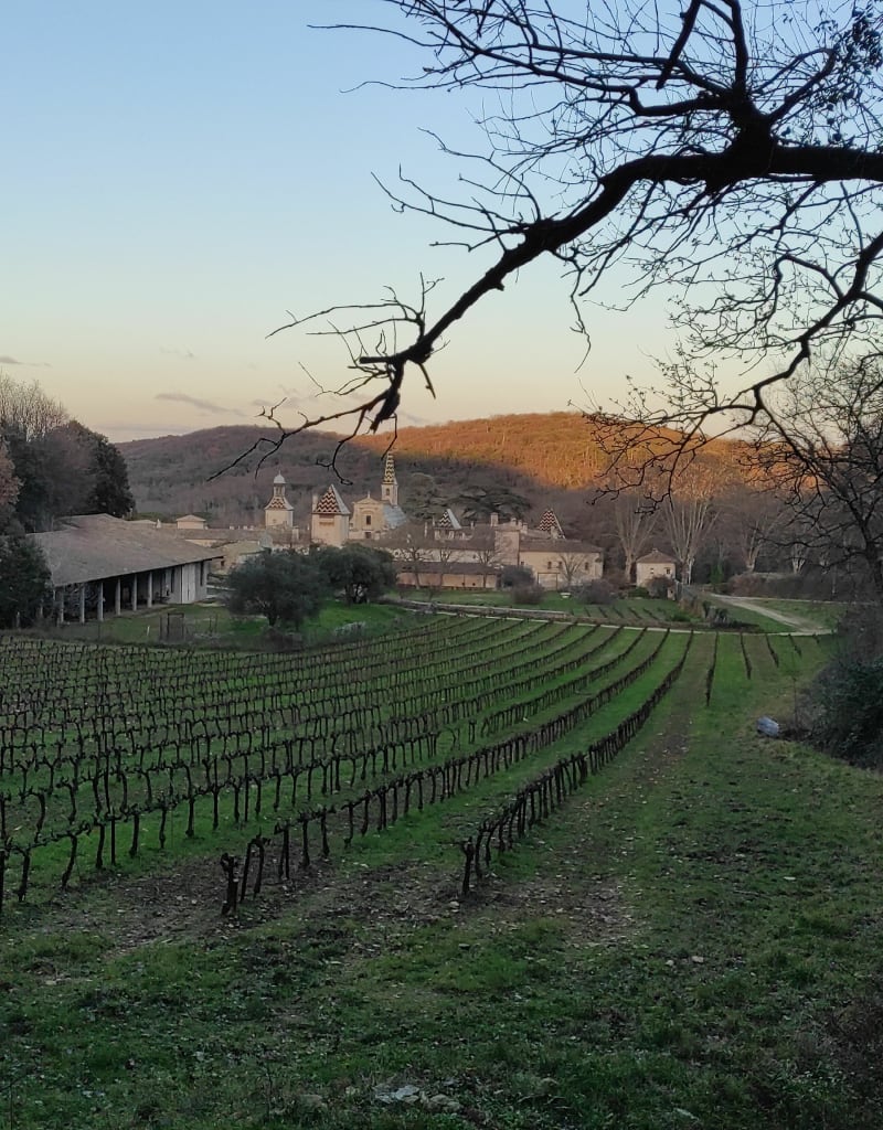 La Chartreuse de Valbonne - Saint-Laurent-de-Carnols