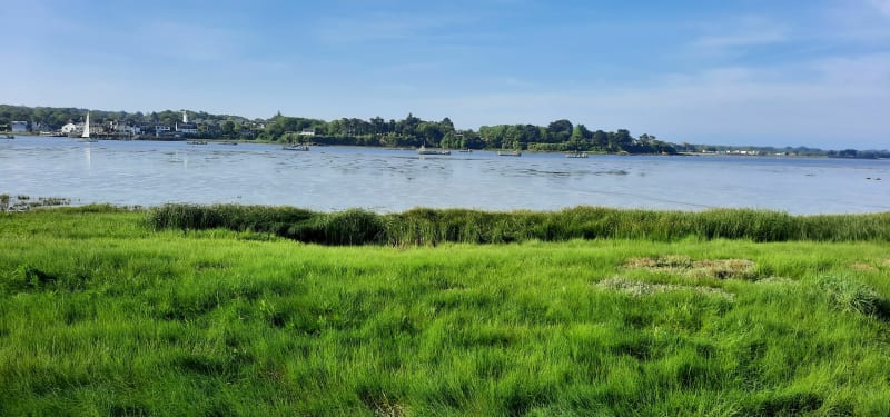 A vélo depuis Billiers - Billiers