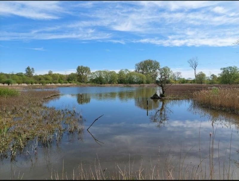 Les chemins de Louvil jusqu'aux marais de Bonnance - Louvil