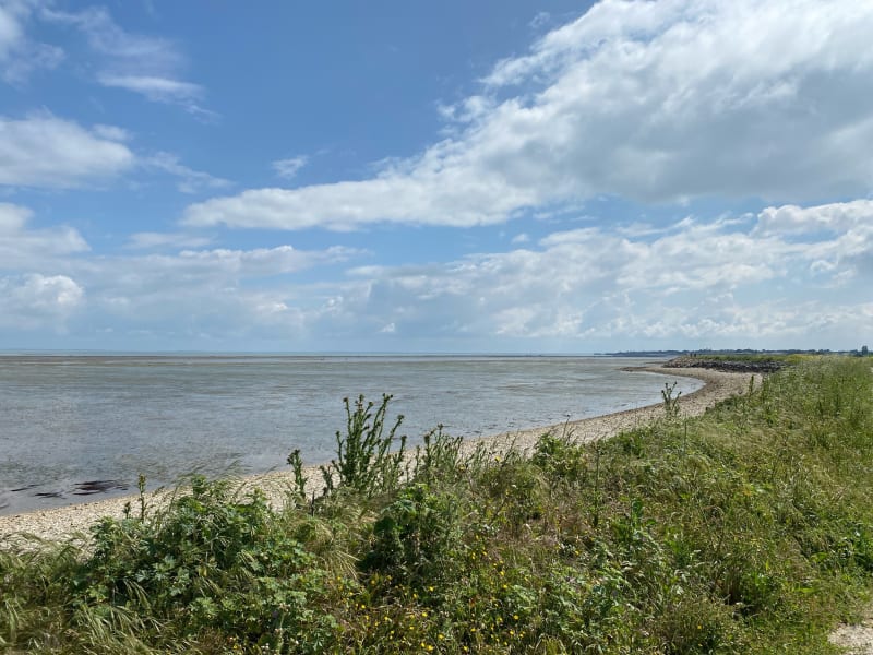 Circuit Bois-plage en Ré, Loix et La Couarde - Le Bois-Plage-en-Ré
