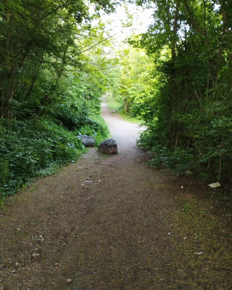 Balade sur voie verte depuis Aniche - Aniche