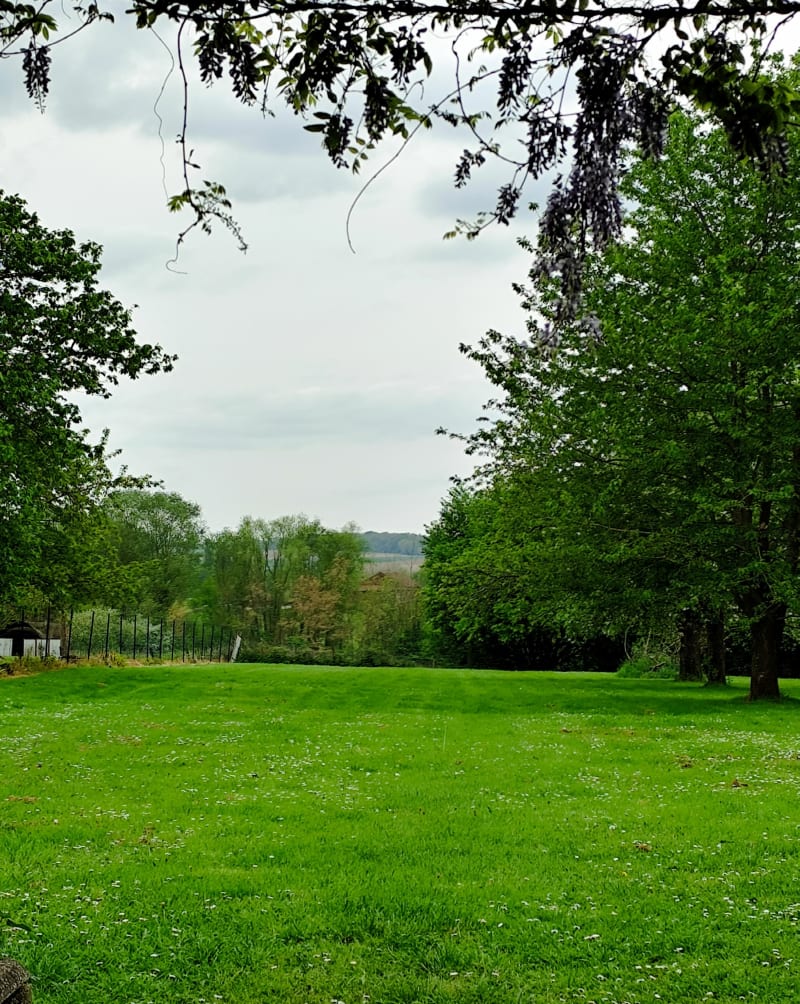 Balade en forêt de Thiescourt - Élincourt-Sainte-Marguerite