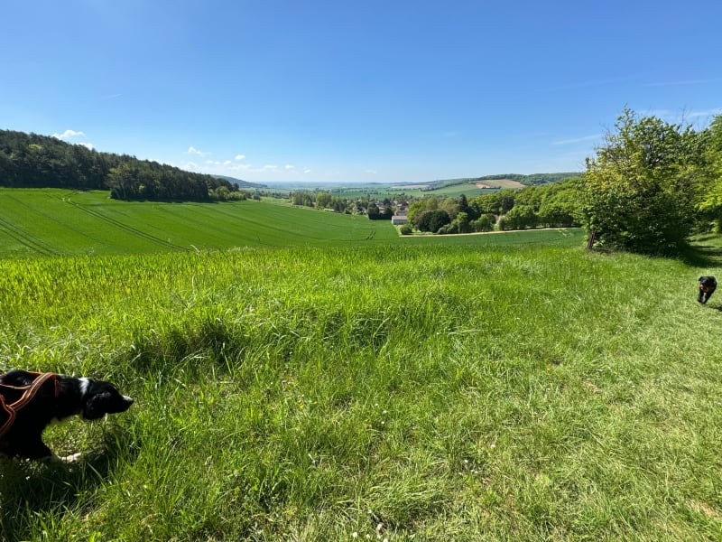 Sentier du loup de Sommeval - Sommeval