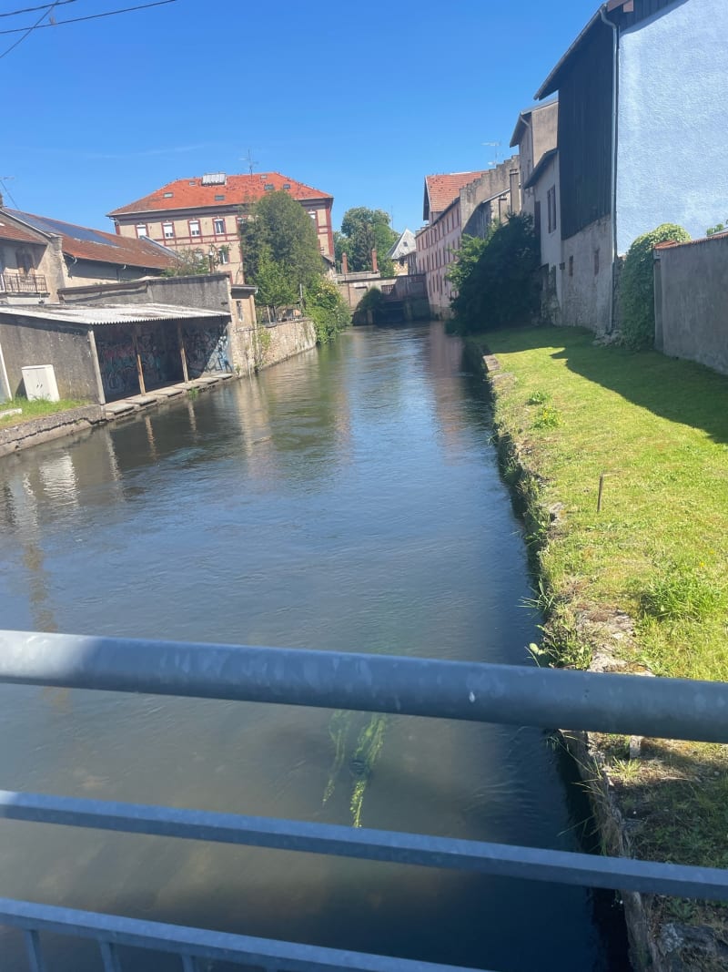 Balade bucolique le long de la Moselle - Brantigny