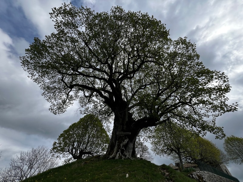 Randonnée à Innimond, par le Mollard de Don et le Grand Pertuis - Innimond