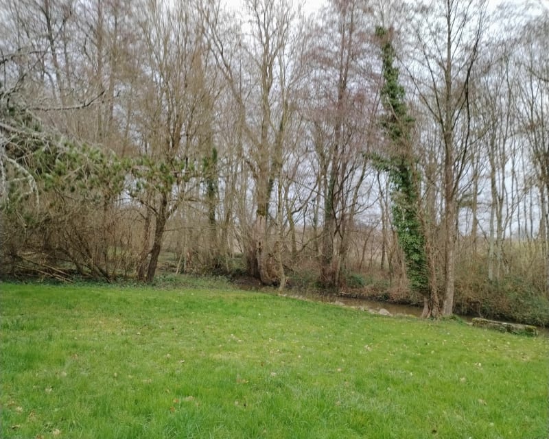 Cour-Cheverny, le Conon et les châteaux - Cour-Cheverny