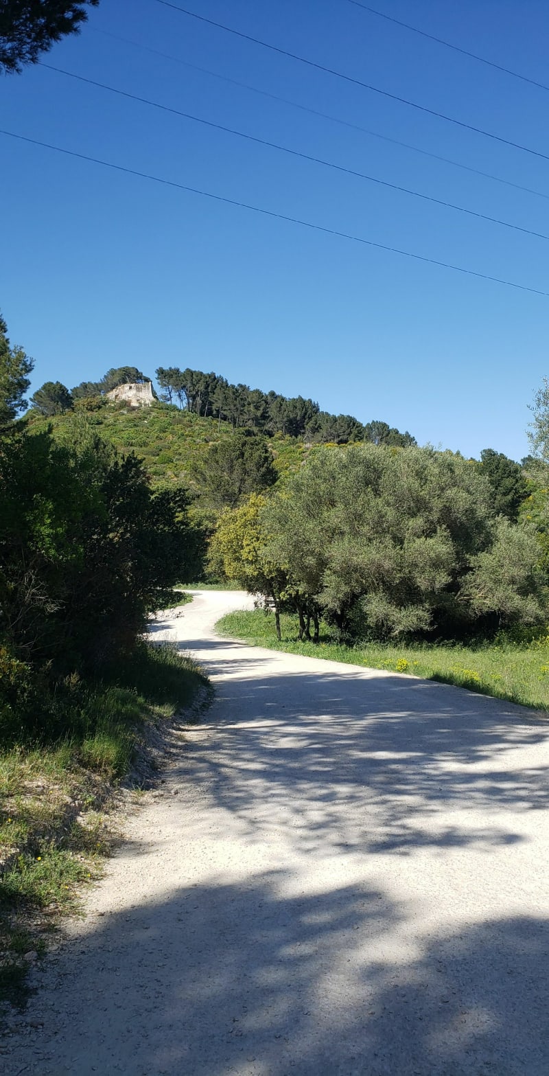 Abbaye de Saint-Roman et Massif de l'Aiguille sur les collines de Beaucaire - Beaucaire