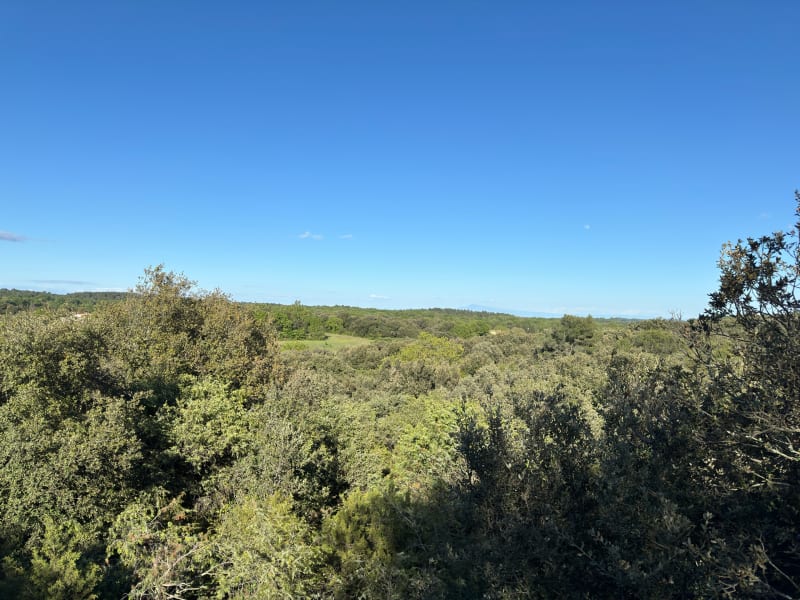 Balade dans la forêt de La Bruguière - La Bruguière