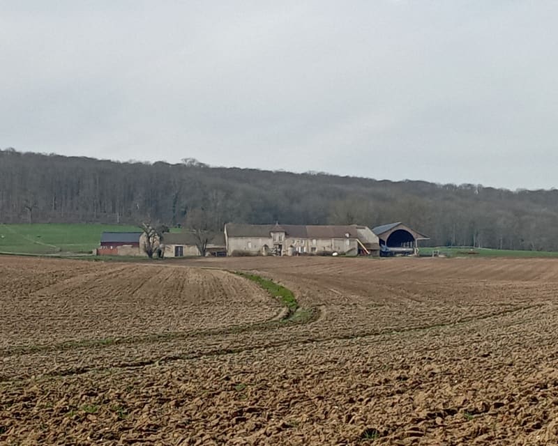 Champs et forêts à Jouy-le-Moutier, Andrésy et Triel-sur-Seine - Jouy-le-Moutier