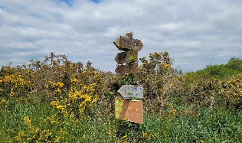 Promenade autour de Kernogan - Erdeven
