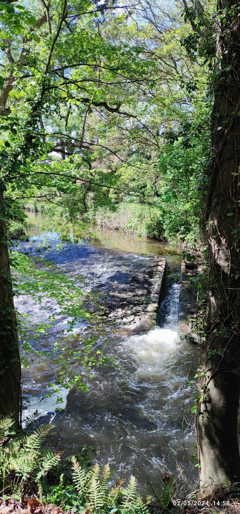 Rando le long du Jaudy - Langoat