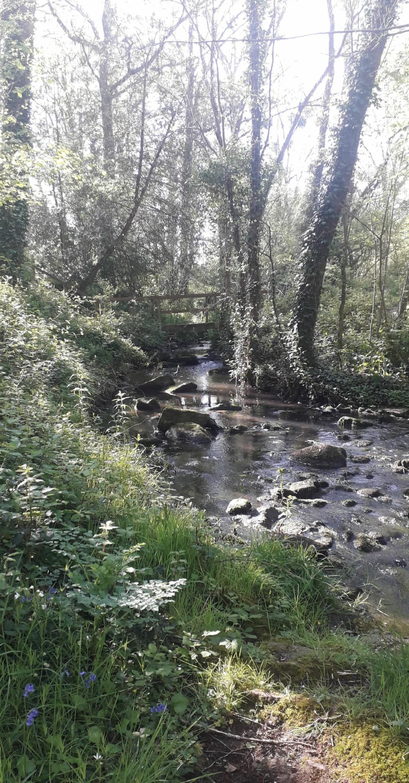 Le calme de Le Poiré-sur-vie - Le Poiré-sur-Vie