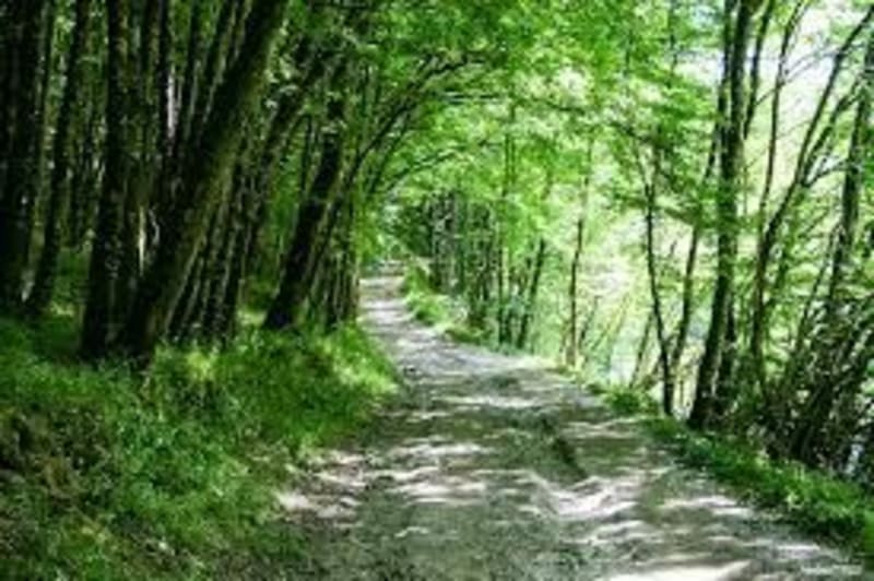Balade à vélo dans le marais Poitevin - Sansais